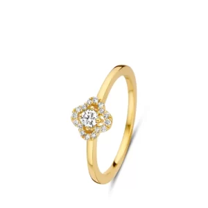 Fashion One More salina